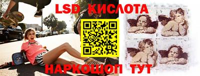 гидропоника Шебекино