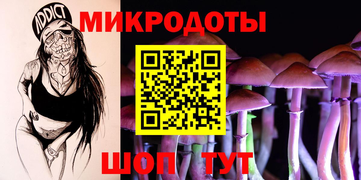 Галлюциногенные грибы Psilocybine cubensis Кулебаки